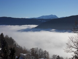 Blick auf den See am Morgen