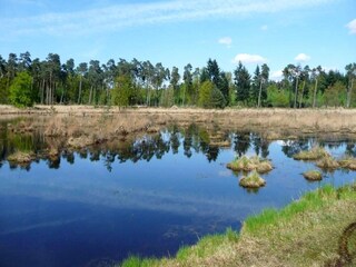 Vakantiehuis Hilvarenbeek Omgeving 6