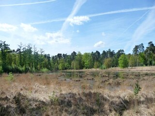 Casa de vacaciones Hilvarenbeek Entorno 10