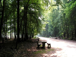 Ferienhaus Hilvarenbeek Umgebung 13