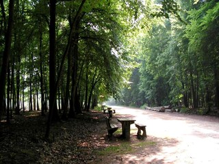 Vakantiehuis Hilvarenbeek Omgeving 13