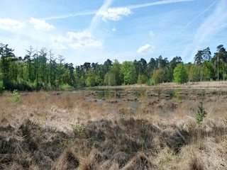Ferienhaus Hilvarenbeek Umgebung 14