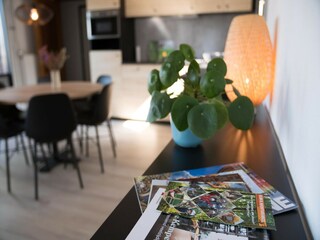 Maison de vacances Hilvarenbeek  18