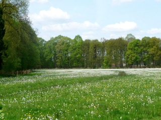 Holiday house Hilvarenbeek Environment 15