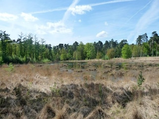 Holiday house Hilvarenbeek Environment 9