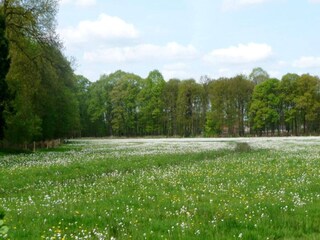 Ferienhaus Hilvarenbeek Umgebung 14