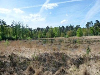 Ferienhaus Hilvarenbeek Umgebung 15