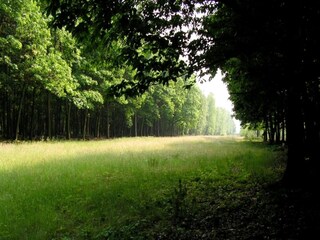 Ferienhaus Hilvarenbeek Umgebung 16
