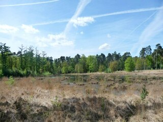 Holiday house Hilvarenbeek Environment 14