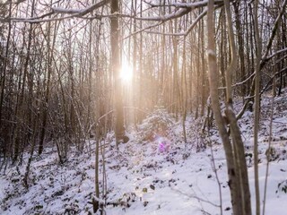 Casa de vacaciones Vresse-sur-Semois Entorno 35