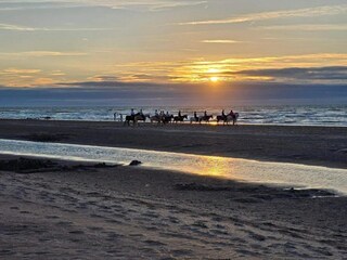 Appartamento Koksijde Ambiente 29