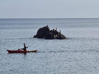 Appartamento Calella de Palafrugell Ambiente 39