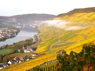 Vakantieappartement Graach an der Mosel Omgeving 38