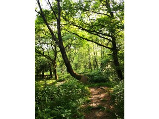 Vakantieappartement Graach an der Mosel Omgeving 39