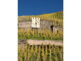 Vakantieappartement Graach an der Mosel Omgeving 40