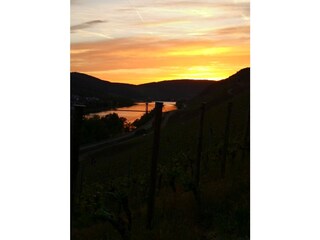 Vakantieappartement Graach an der Mosel Buitenaudio-opname 13