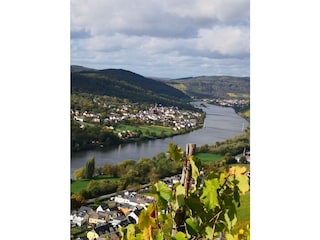 Vakantieappartement Graach an der Mosel Omgeving 39