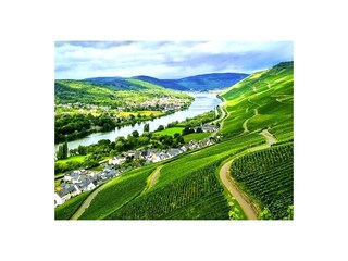 Vakantieappartement Graach an der Mosel Omgeving 39