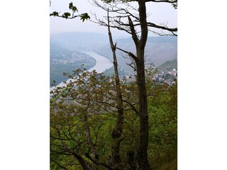 Vakantieappartement Graach an der Mosel Omgeving 40