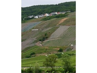 Vakantieappartement Graach an der Mosel Omgeving 30