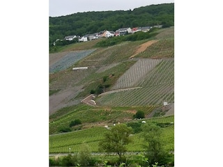 Vakantieappartement Graach an der Mosel Omgeving 31