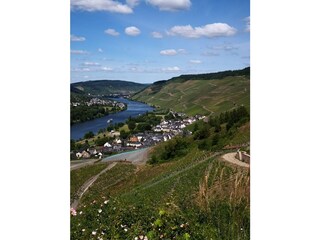 Blick auf dem Weg von der Schäferei nach Graach