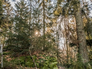 Ferienpark Gavaudun Umgebung 17