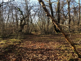 Ferienpark Gavaudun Umgebung 26
