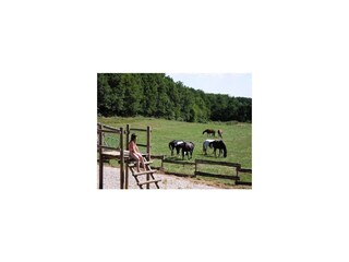 Holiday park Gavaudun  39