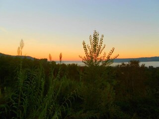 Holiday house Otricoli Environment 27