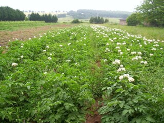 Ferienhaus Otricoli Umgebung 25