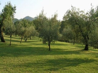 Ferienhaus Brisighella Außenaufnahme 5