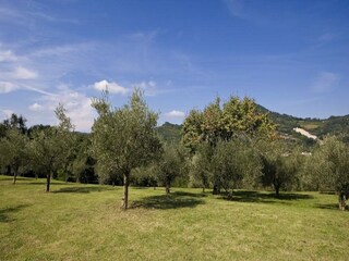 Maison de vacances Brisighella Enregistrement extérieur 11