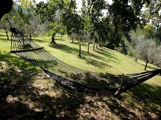 Ferienhaus Brisighella Außenaufnahme 12