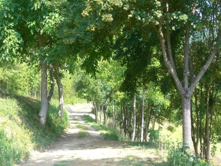 Holiday house Brisighella Environment 36
