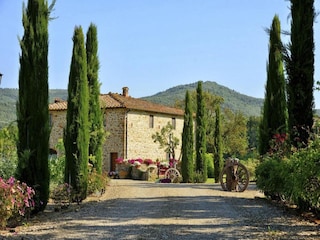 Holiday house Reggello Outdoor Recording 15