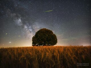 Ferienhaus Buonconvento Umgebung 21