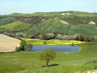 Vakantiehuis Buonconvento Omgeving 25