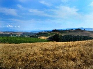 Holiday house Buonconvento Environment 32