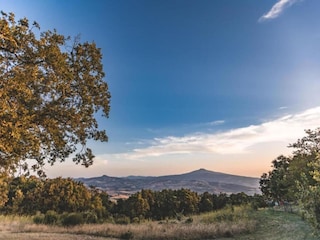 Holiday house Buonconvento Environment 26