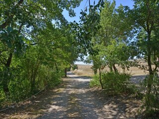 Casa de vacaciones Buonconvento Entorno 24