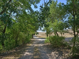 Ferienhaus Buonconvento Umgebung 38