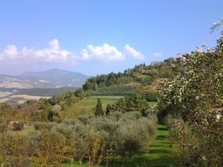 Casa de vacaciones Cetona Entorno 35