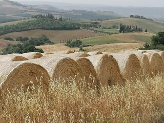 Holiday house Cetona Environment 39