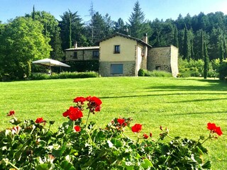 Ferienhaus Cetona Außenaufnahme 14