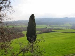 Holiday house Chiusi Environment 28