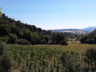 Casa per le vacanze Chiusi Ambiente 24