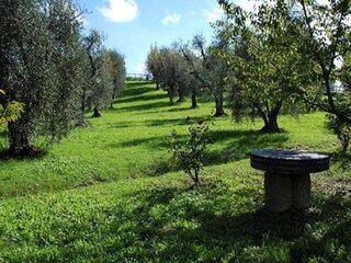 Casa per le vacanze Palaia Ambiente 39