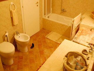 Casa per le vacanze Palaia Caratteristiche 33