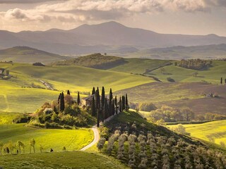 Casa de vacaciones Magliano in Toscana Entorno 28